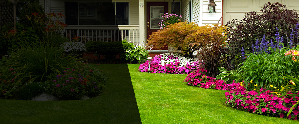 Kingston Landscapers